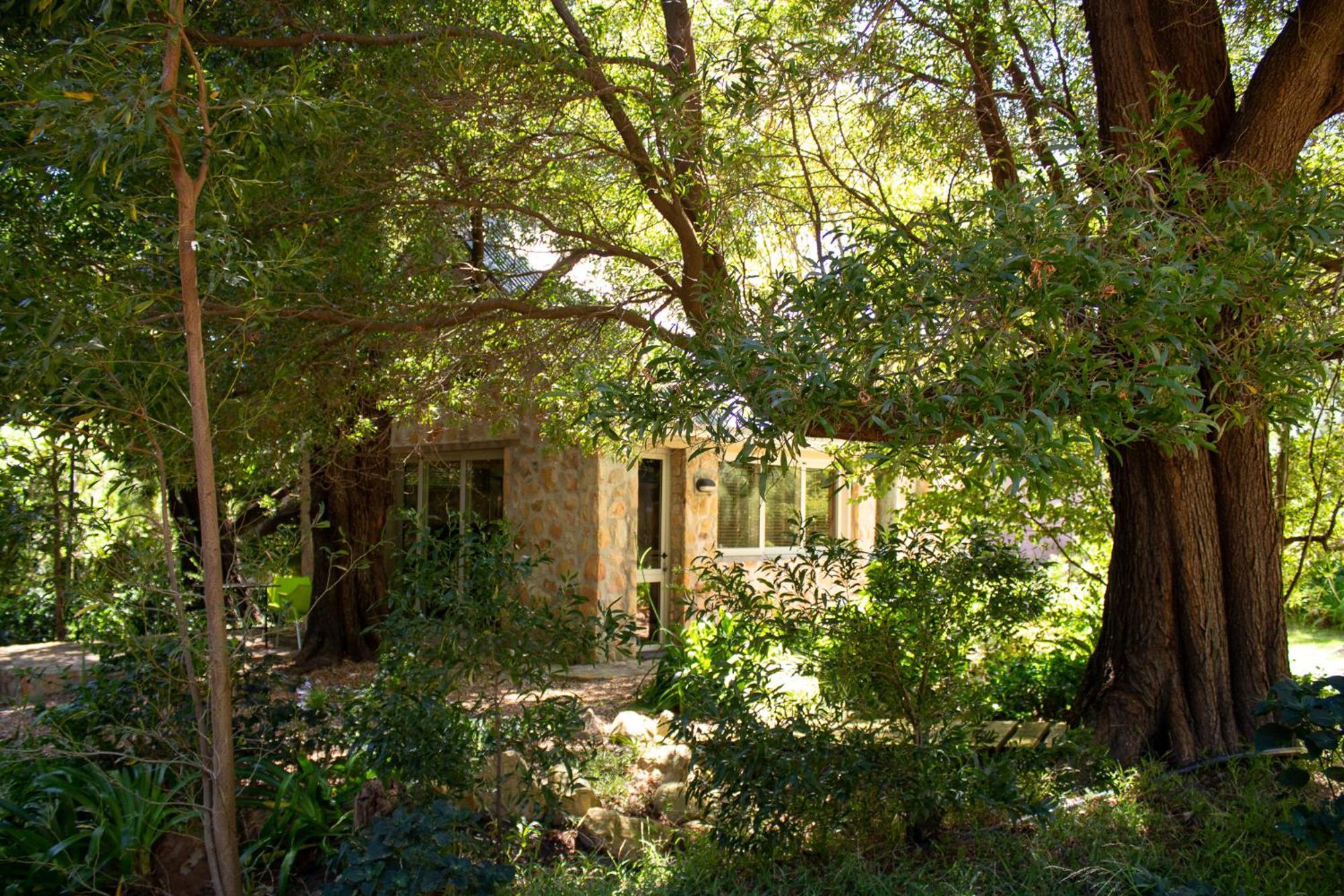 Umami Mountain Retreat Villa Franschhoek Exterior photo